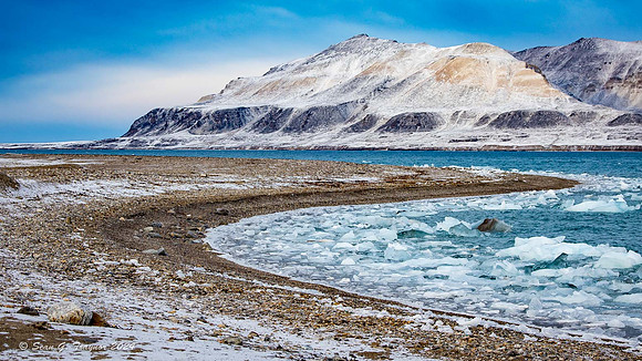 Coastal Ice