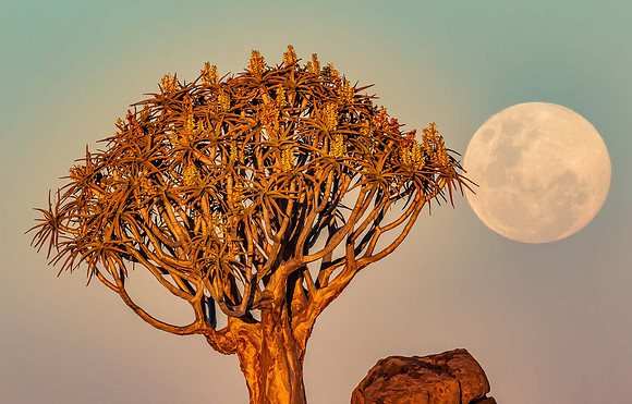 Astro Photography