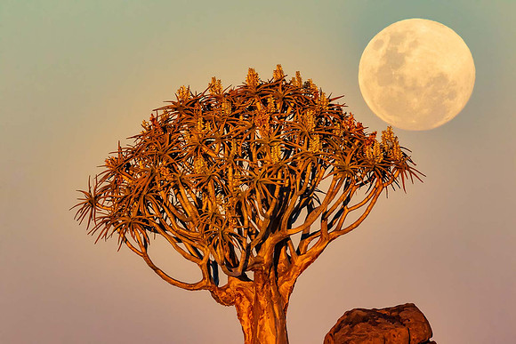 Astro Photography