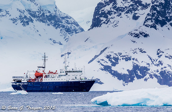Neko Harbor Antarctica