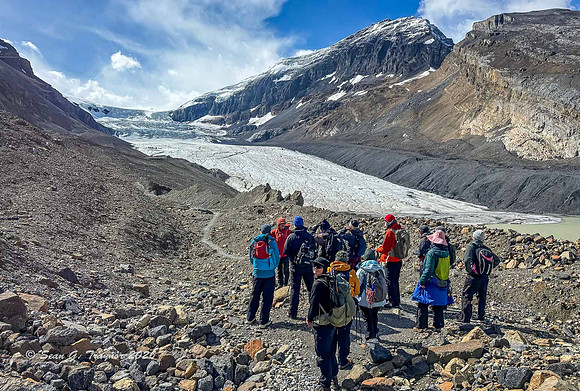 Athabaska Glacier