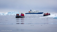 Zodiac Excursion