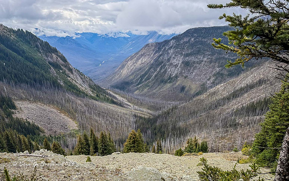 Banff Area