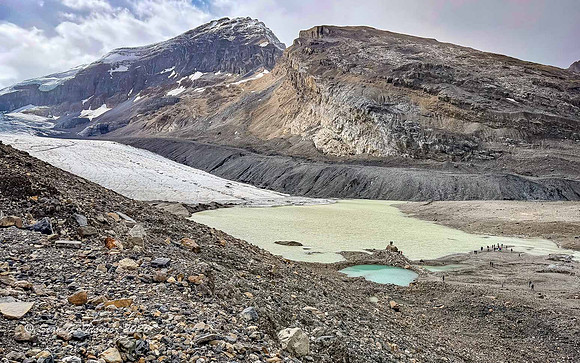 Athabaska Glacier