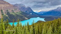 Peyto Lake
