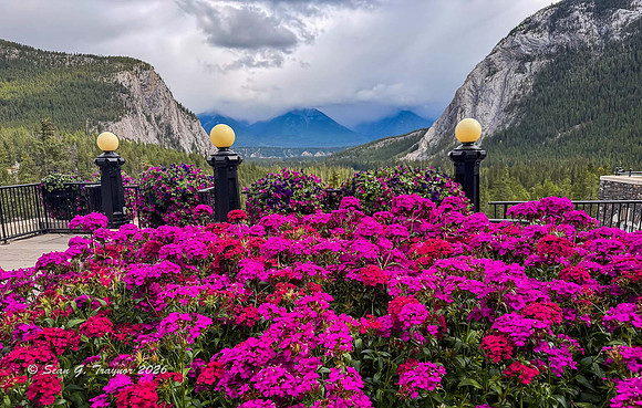 Banff