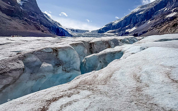 Athabaska Glacier