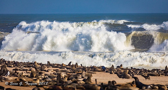 Cape Cross