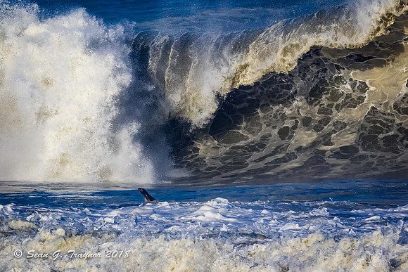 Cape Cross Violent Seas