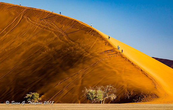 Sossusvlei Sand Dunes