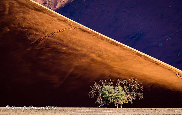Sossusvlei Sand Dunes