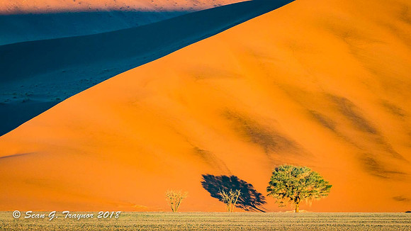Sossusvlei Sand Dunes