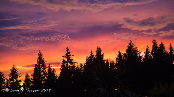 Sunrise in Te Anu