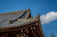 Ninna-ji Temple, Kyoto