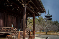 Ninna-ji Temple, Kyoto
