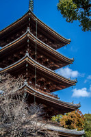 Ninna-ji Temple, Kyoto