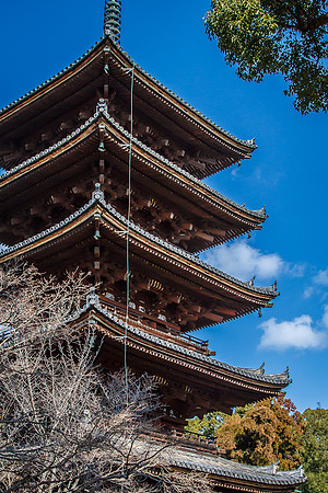 Ninna-ji Temple, Kyoto