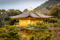 Kinkaku-ji Temple, Golden Pavilion, Kyoto