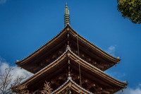 Ninna-ji Temple, Kyoto