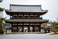 Ninna-ji Temple, Kyoto