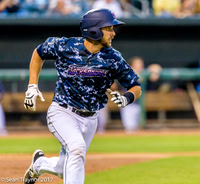 Jacksonville Jumbo Shrimp Baseball
