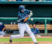 Jacksonville Jumbo Shrimp Baseball