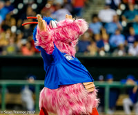 Jacksonville Jumbo Shrimp Baseball