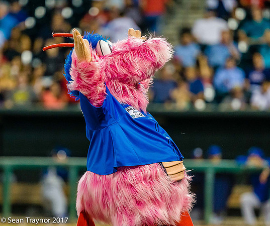 Jacksonville Jumbo Shrimp Baseball