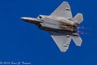 F-22 Raptor