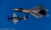 F-22 Raptor & P-51 Mustang