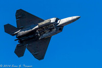 F-22 Raptor