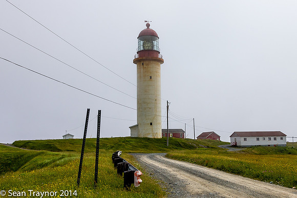 2014-07 Cape_Spear-104a