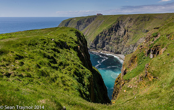 2014-07 Cape_St.Mary-411a