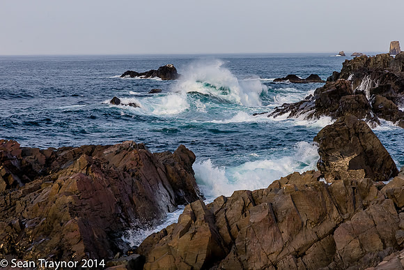 2014-07 Cape_Bonavista-225a