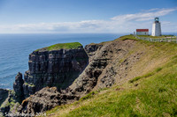 2014-07 Cape_St.Mary-428a