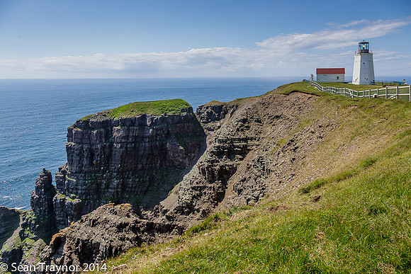 2014-07 Cape_St.Mary-428a