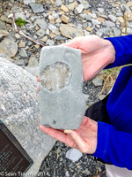 2014-07 Gros_Morne NF-292