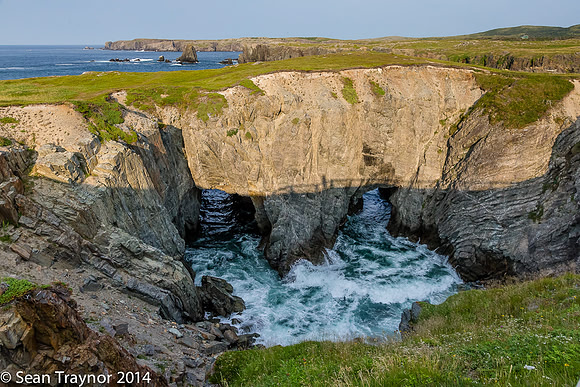 2014-07 Cape_Bonavista-192a
