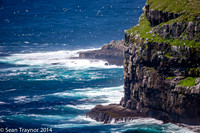 2014-07 Cape_St.Mary-353a