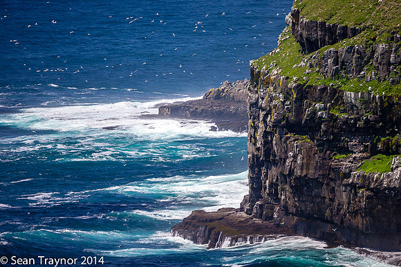 2014-07 Cape_St.Mary-353a