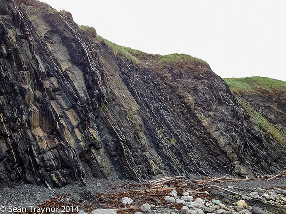 2014-07 Gros_Morne NF-285
