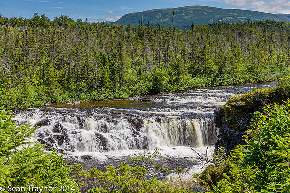 2014-07 Gros_Morne NF-356a