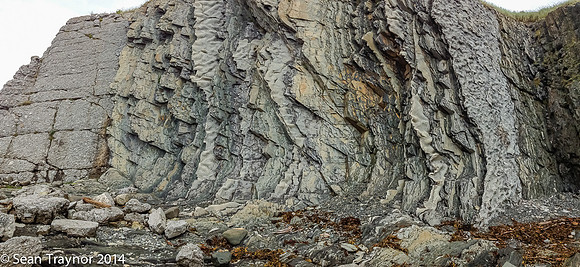 2014-07 Gros_Morne NF-282