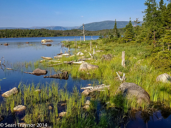 2014-07 Gros_Morne NF-155