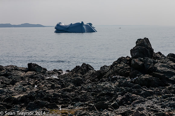 2014-07 Twillingate-126a