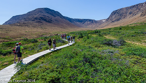 2014-07 Gros_Morne NF-417a