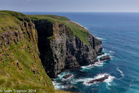 2014-07 Cape_St.Mary-423a