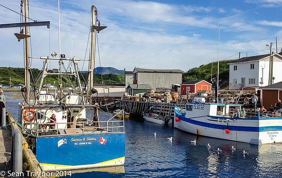 2014-07 Gros_Morne NF-389