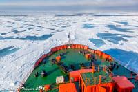 North Pole Expedition