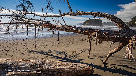 Ruby Beach, Washington State